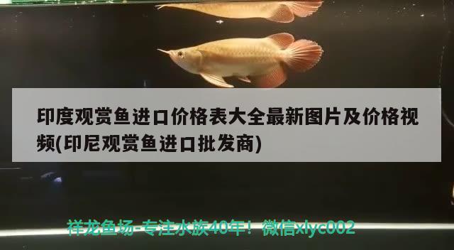 金龍魚大豆油五升多少錢（金龍魚大豆油五升多少錢一桶）