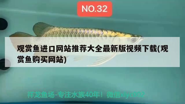 觀賞魚(yú)進(jìn)口網(wǎng)站推薦大全最新版視頻下載(觀賞魚(yú)購(gòu)買網(wǎng)站) 觀賞魚(yú)進(jìn)出口