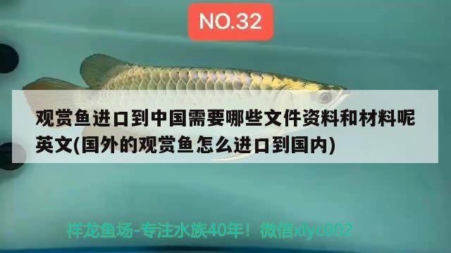 觀賞魚進(jìn)口到中國需要哪些文件資料和材料呢英文(國外的觀賞魚怎么進(jìn)口到國內(nèi)) 觀賞魚進(jìn)出口