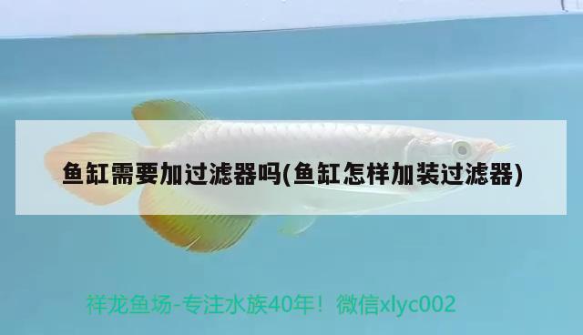 魚(yú)缸需要加過(guò)濾器嗎(魚(yú)缸怎樣加裝過(guò)濾器) 觀賞魚(yú)市場(chǎng)