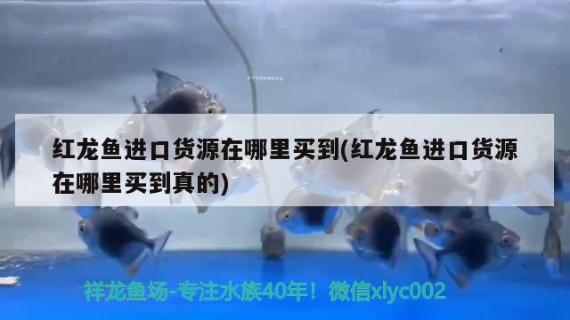 12M水族箱過濾 養(yǎng)魚知識(shí) 第2張