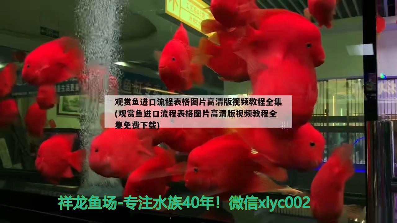 觀賞魚(yú)進(jìn)口流程表格圖片高清版視頻教程全集(觀賞魚(yú)進(jìn)口流程表格圖片高清版視頻教程全集免費(fèi)下載) 觀賞魚(yú)進(jìn)出口