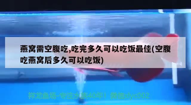 燕窩需空腹吃,吃完多久可以吃飯最佳(空腹吃燕窩后多久可以吃飯) 馬來西亞燕窩