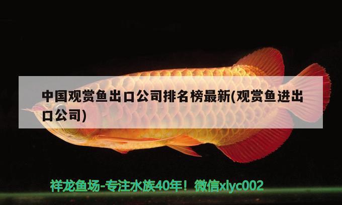 中國(guó)觀賞魚(yú)出口公司排名榜最新(觀賞魚(yú)進(jìn)出口公司)