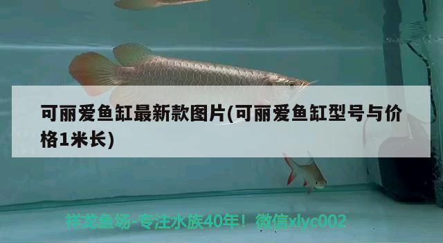 可麗愛魚缸最新款圖片(可麗愛魚缸型號與價格1米長) 海象魚 第2張