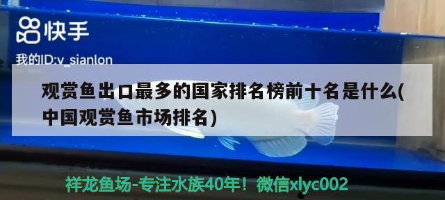 觀賞魚出口最多的國家排名榜前十名是什么(中國觀賞魚市場排名) 觀賞魚進出口