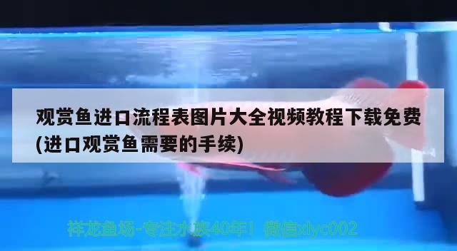 觀賞魚進口流程表圖片大全視頻教程下載免費(進口觀賞魚需要的手續(xù))