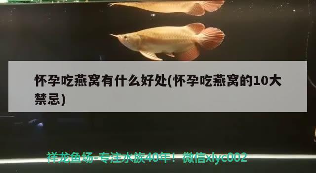 早上好我來打卡了 魚缸等水族設(shè)備 第3張