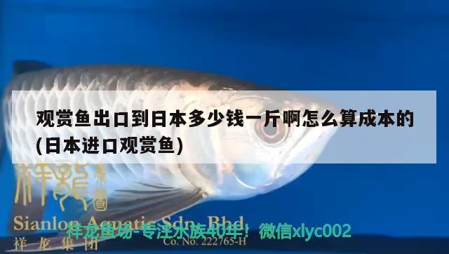 觀賞魚出口到日本多少錢一斤啊怎么算成本的(日本進(jìn)口觀賞魚) 觀賞魚進(jìn)出口