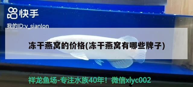 菏澤賣魚(yú)缸的地方在哪：菏澤觀賞魚(yú)批發(fā)市場(chǎng)