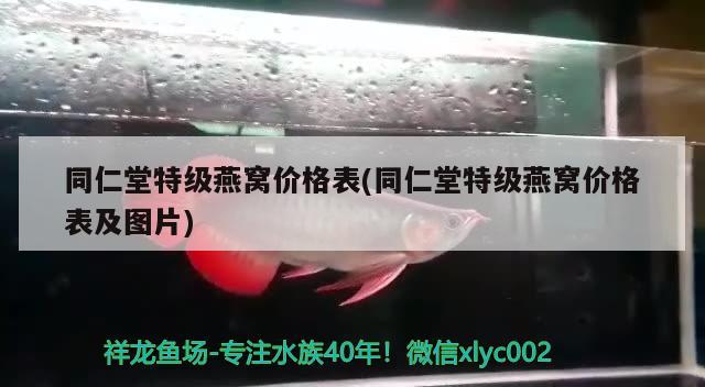 同仁堂特級燕窩價格表(同仁堂特級燕窩價格表及圖片) 馬來西亞燕窩