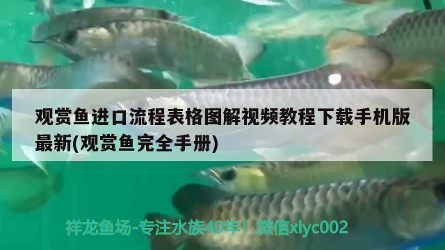 觀(guān)賞魚(yú)進(jìn)口流程表格圖解視頻教程下載手機(jī)版最新(觀(guān)賞魚(yú)完全手冊(cè)) 觀(guān)賞魚(yú)進(jìn)出口