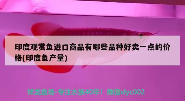 加氧是在主缸里好還是在過濾缸里好過濾缸里加氧的話放哪個格里啊 斑馬狗頭魚 第2張