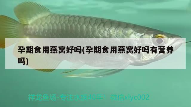 莆田二手魚缸出售電話地址在哪里（幼兒園如何創(chuàng)設(shè)良好的教育環(huán)境） 一眉道人魚 第4張