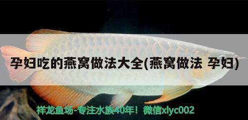 寶蓮燈魚多少度會(huì)凍死(寶蓮燈魚最低溫度)