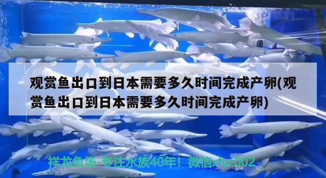 觀賞魚出口到日本需要多久時間完成產(chǎn)卵(觀賞魚出口到日本需要多久時間完成產(chǎn)卵) 觀賞魚進出口