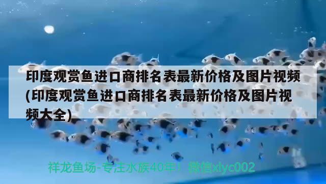 印度觀賞魚進(jìn)口商排名表最新價格及圖片視頻(印度觀賞魚進(jìn)口商排名表最新價格及圖片視頻大全) 觀賞魚進(jìn)出口