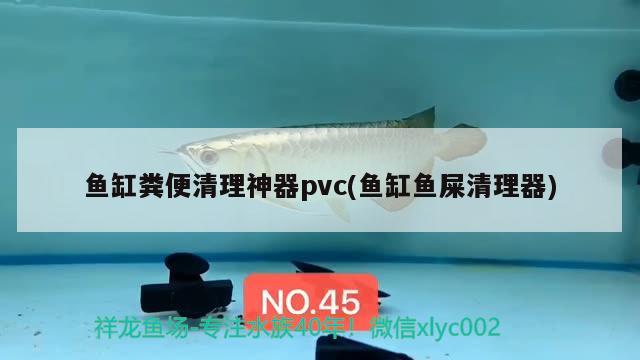 魚缸糞便清理神器pvc(魚缸魚屎清理器) 圖騰金龍魚