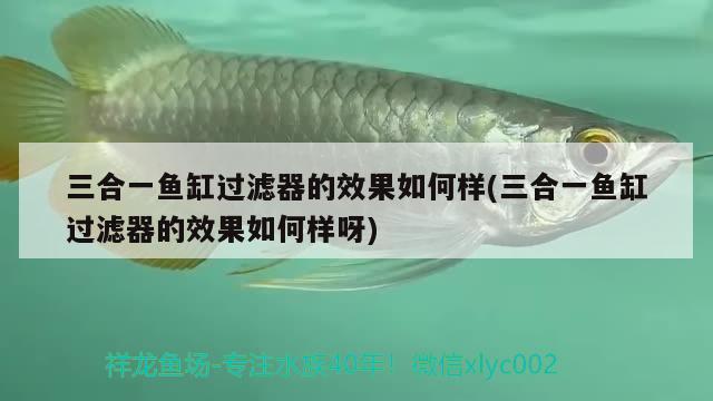 三合一魚(yú)缸過(guò)濾器的效果如何樣(三合一魚(yú)缸過(guò)濾器的效果如何樣呀) 水草