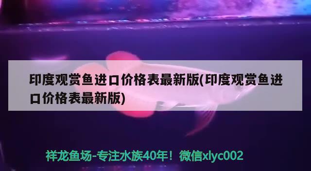 印度觀賞魚進口價格表最新版(印度觀賞魚進口價格表最新版) 觀賞魚進出口