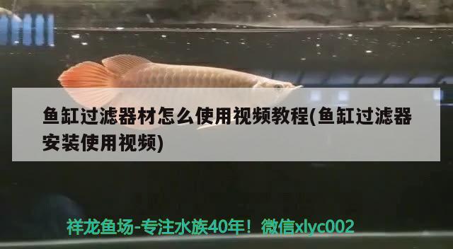 魚(yú)缸過(guò)濾器材怎么使用視頻教程(魚(yú)缸過(guò)濾器安裝使用視頻)