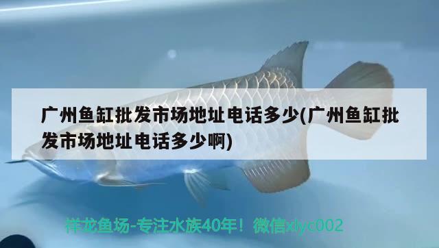 廣州魚缸批發(fā)市場地址電話多少(廣州魚缸批發(fā)市場地址電話多少啊) 委內(nèi)瑞拉奧里諾三間魚