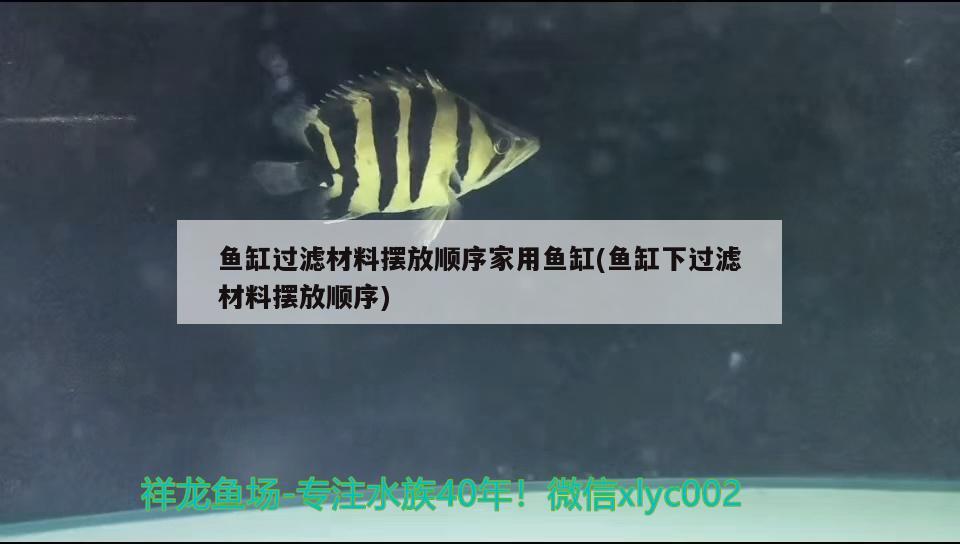 魚缸過濾材料擺放順序家用魚缸(魚缸下過濾材料擺放順序) 純血皇冠黑白魟魚