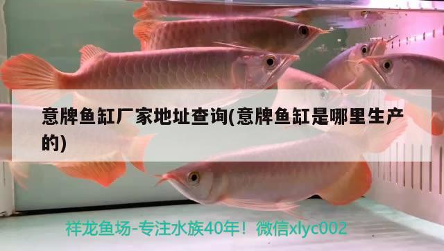 意牌魚缸廠家地址查詢(意牌魚缸是哪里生產(chǎn)的)