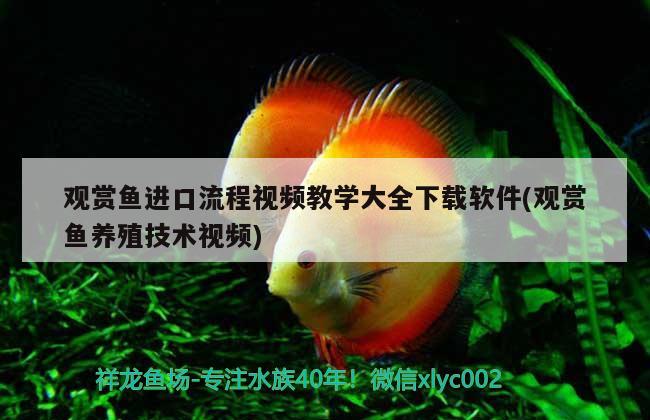 魚缸凈水劑有魚可以直接用嗎（魚缸里放凈水劑可以喂魚吃嗎）