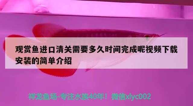 觀賞魚進口清關需要多久時間完成呢視頻下載安裝的簡單介紹 觀賞魚進出口