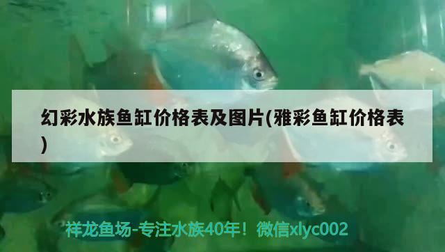 幻彩水族魚缸價格表及圖片(雅彩魚缸價格表) 金頭過背金龍魚