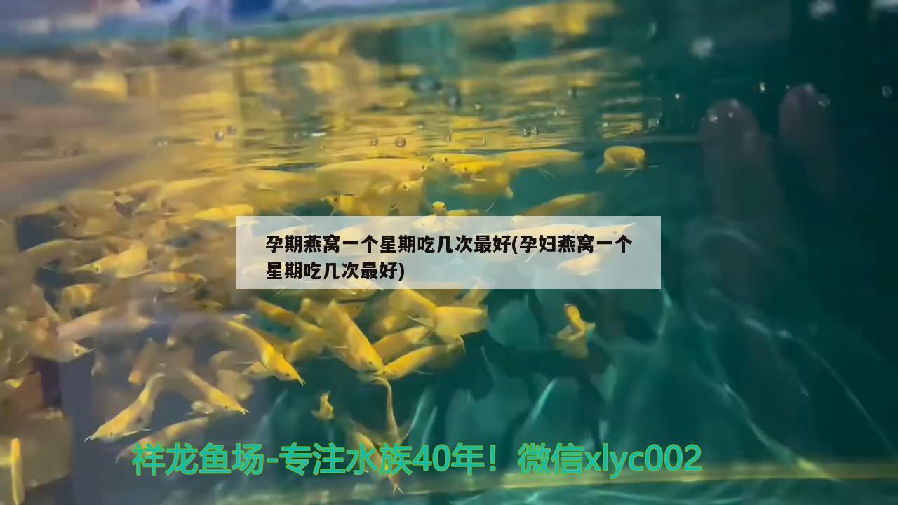 銀川哪里有賣魚缸的實(shí)體店啊多少錢一條（銀川賣魚缸的地方嗎） 全國水族館企業(yè)名錄