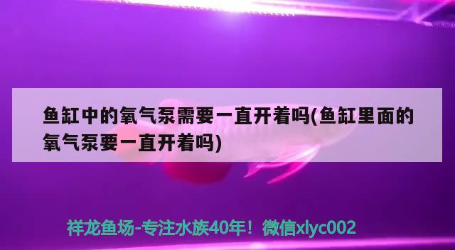 魚缸中的氧氣泵需要一直開著嗎(魚缸里面的氧氣泵要一直開著嗎) 水族世界