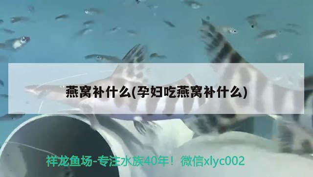 魚缸制氧機多少錢一臺的：魚缸制氧機的工作原理