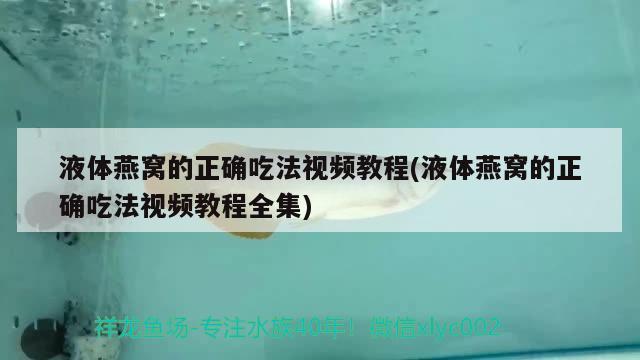 液體燕窩的正確吃法視頻教程(液體燕窩的正確吃法視頻教程全集) 馬來西亞燕窩