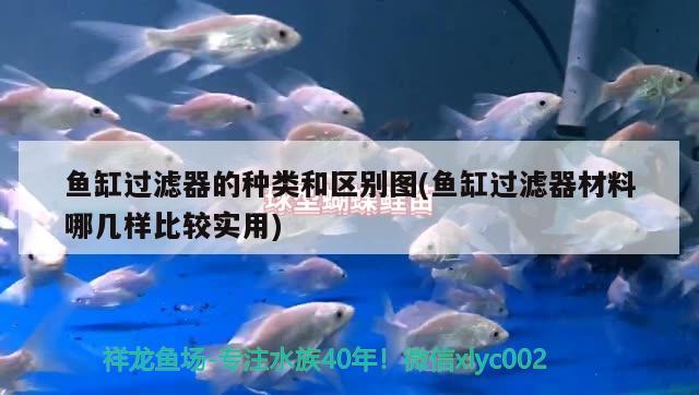 魚缸過濾器的種類和區(qū)別圖(魚缸過濾器材料哪幾樣比較實用) 七紋巨鯉魚