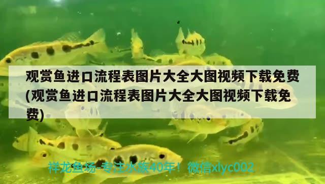 北京尼特利水族店 全國(guó)水族館企業(yè)名錄 第1張