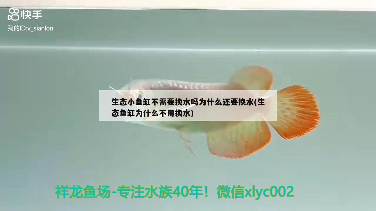 這樣久挺好了 銀河星鉆魚 第1張