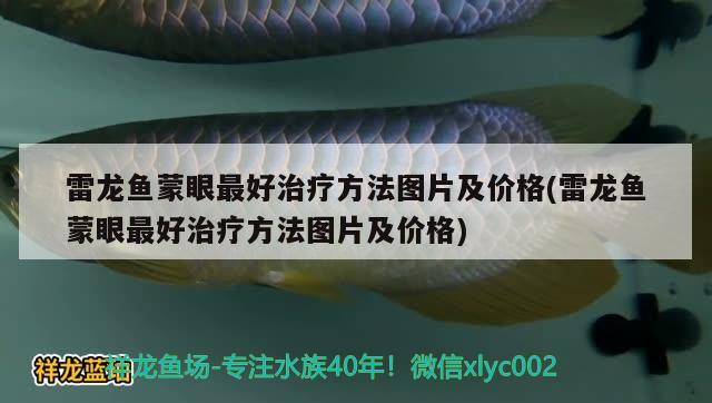 雷龍魚蒙眼最好治療方法圖片及價(jià)格(雷龍魚蒙眼最好治療方法圖片及價(jià)格) 除藻劑