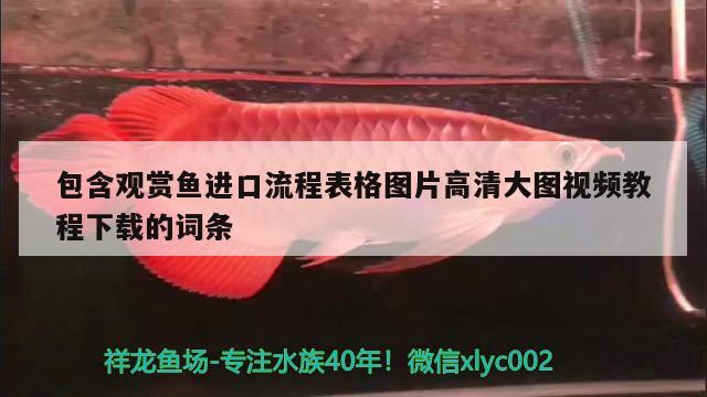 包含觀賞魚進口流程表格圖片高清大圖視頻教程下載的詞條