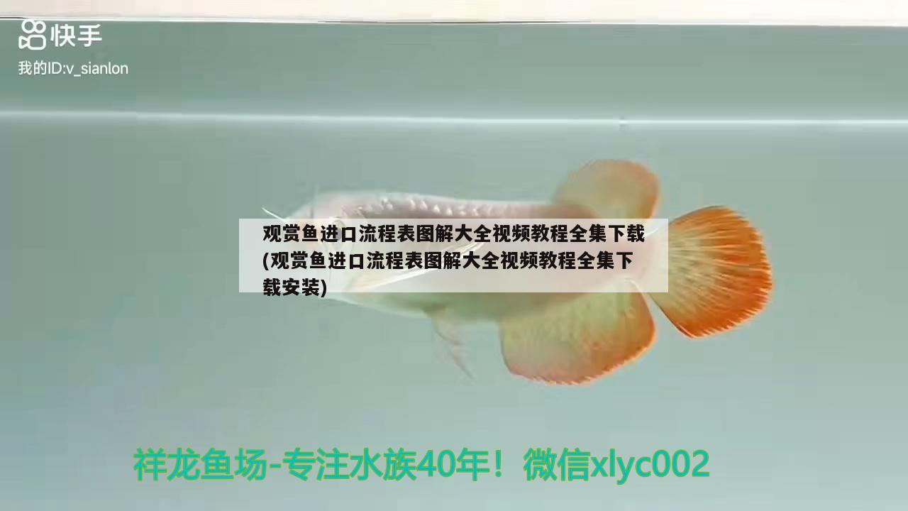 水葫蘆可以養(yǎng)在魚缸里嗎圖片（水葫蘆可以放在魚缸里面養(yǎng)魚嗎） 祥龍水族醫(yī)院 第3張