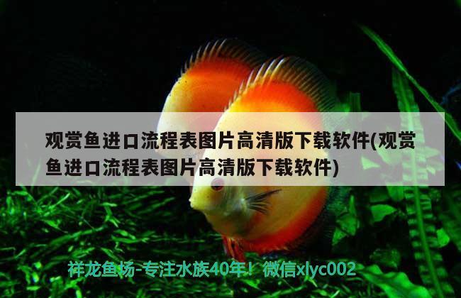 觀賞魚(yú)進(jìn)口流程表圖片高清版下載軟件(觀賞魚(yú)進(jìn)口流程表圖片高清版下載軟件) 觀賞魚(yú)進(jìn)出口