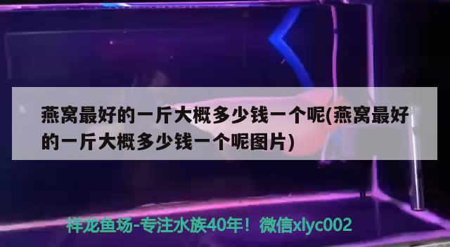 燕窩最好的一斤大概多少錢一個呢(燕窩最好的一斤大概多少錢一個呢圖片) 馬來西亞燕窩