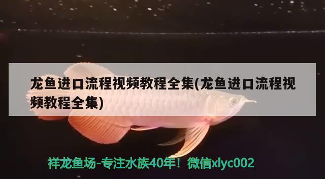 魚(yú)缸放在房間什么位置最好（魚(yú)缸應(yīng)該放在屋里什么位置） 其他品牌魚(yú)缸 第1張