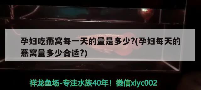 孕婦吃燕窩每一天的量是多少?(孕婦每天的燕窩量多少合適?) 馬來西亞燕窩