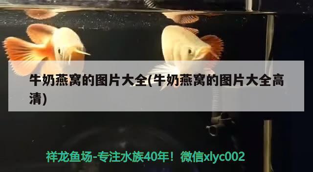 哪位朋友幫我看看56排魚(yú)鱗怎么了