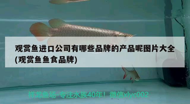 觀賞魚進(jìn)口公司有哪些品牌的產(chǎn)品呢圖片大全(觀賞魚魚食品牌) 觀賞魚進(jìn)出口