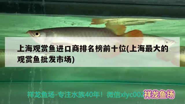 上海觀賞魚進(jìn)口商排名榜前十位(上海最大的觀賞魚批發(fā)市場(chǎng)) 觀賞魚進(jìn)出口