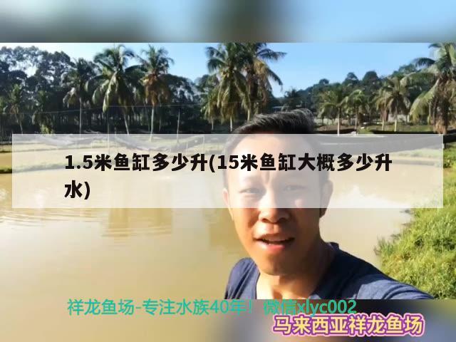 1.5米魚(yú)缸多少升(15米魚(yú)缸大概多少升水) 金頭過(guò)背金龍魚(yú)