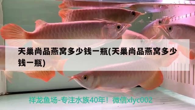 銅仁水族館45公分